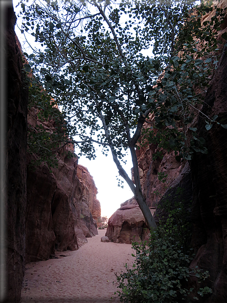 foto Wadi Rum